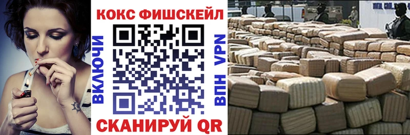 omg ТОР  Димитровград  КОКАИН Fish Scale 