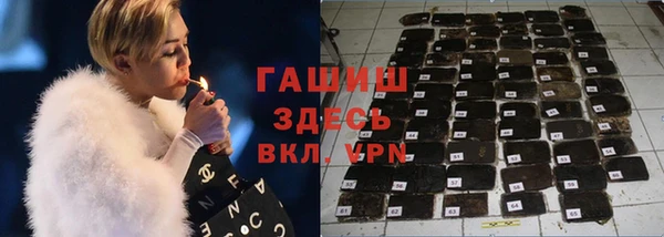 индика Зерноград