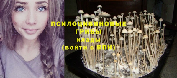 тгк Заволжск