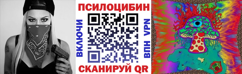 где найти наркотики  Димитровград  Псилоцибиновые грибы мухоморы 