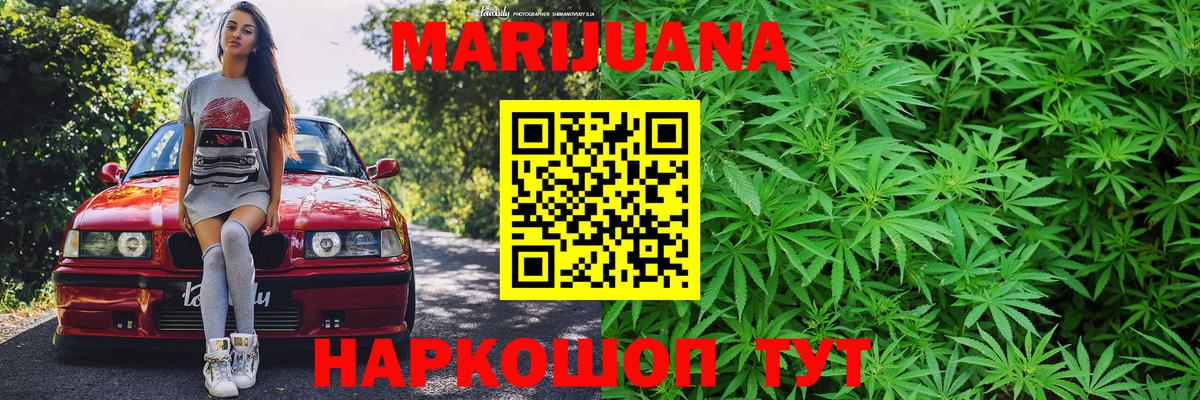 Канабис сатива Димитровград